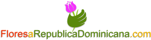 floresarepublicadominicana.com